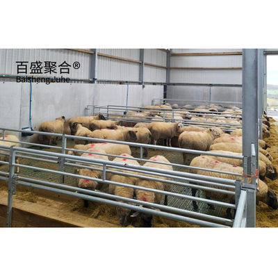 Steel Grade Prefab Livestock Building for Goat/Sheep/Cow/Cattle Cubicles and Pig Farming (Budowiec prefabrykowany z stali dla bydła)