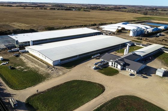 Niestandardowa konstrukcja stalowa warsztat magazyn hangar sala z dachem z paneli kanapkowych