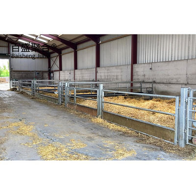 Aluminiowy stopu okna Metalowe Owiec Farmy Szopka Projekt Structure Steel Owiec Dom schronienie PKPM rysunek