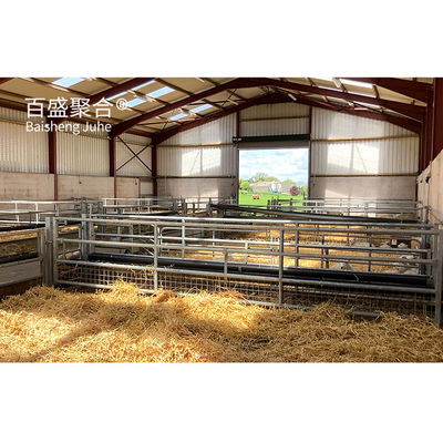 Przystępne ceny Prefab Metal Building Owce Kozy Farm Shed Dom z PKPM rysunku projektowania