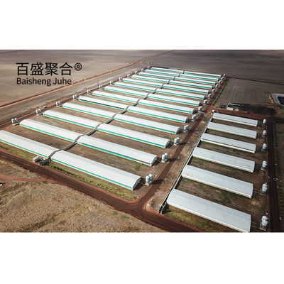 Farrowing Crate Steel Structure for Modern Farm Pig House Hog Shed Cote Winery Pigsty