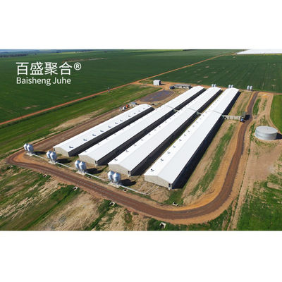 Farrowing Crate Steel Structure for Modern Farm Pig House Hog Shed Cote Winery Pigsty
