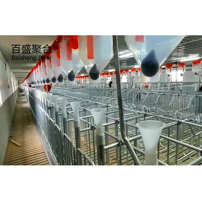 Farrowing Crate Steel Structure for Modern Farm Pig House Hog Shed Cote Winery Pigsty
