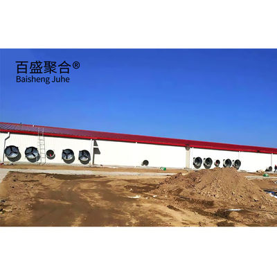 Automatic Poultry Farm Prefab Layer Pig Houses with Design and Aluminum Alloy Window (Automatyczne domy dla świń w warstwie prefabrykowanej)
