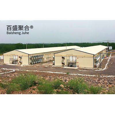 Automatic Poultry Farm Prefab Layer Pig Houses with Design and Aluminum Alloy Window (Automatyczne domy dla świń w warstwie prefabrykowanej)