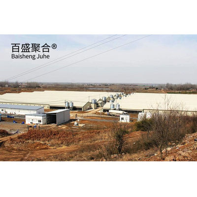 Automatic Poultry Farm Prefab Layer Pig Houses with Design and Aluminum Alloy Window (Automatyczne domy dla świń w warstwie prefabrykowanej)