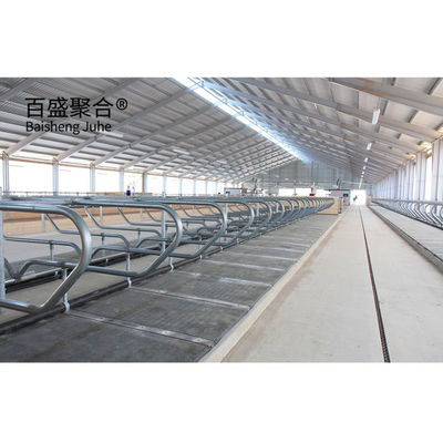 Steel Structure Cowshed Dairy Farm Pig/Sheep/Goat Farm House Cow Shed with Aluminum Alloy Window Wydobycie stali