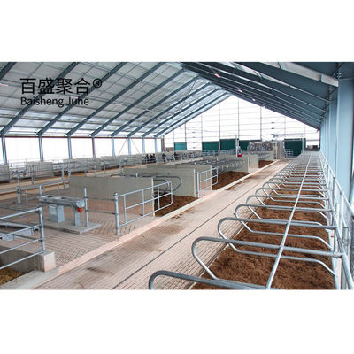 Steel Structure Cowshed Dairy Farm Pig/Sheep/Goat Farm House Cow Shed with Aluminum Alloy Window Wydobycie stali