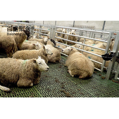 Prefabrykowana konstrukcja stalowa konstrukcja dla goat farming design shed house for Q235 low carbon steel
