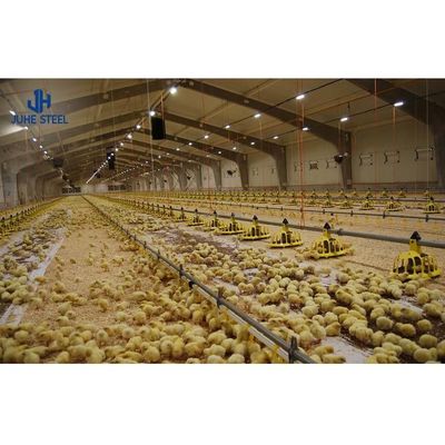 Certyfikat ISO9001 2008/CE/BV Nowoczesne gospodarstwo drobiowe