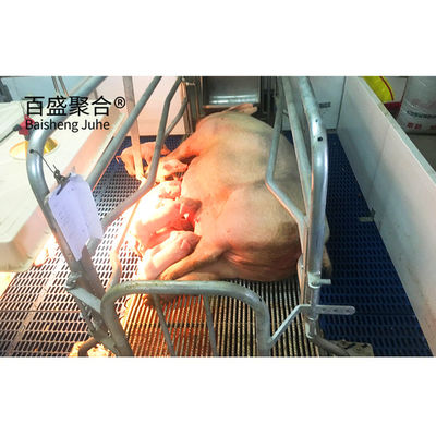 Wypalanie na gorąco galwanizowane/farbowane, rozpylanie stalowe, prefabrykowane domki wieprzowcowe