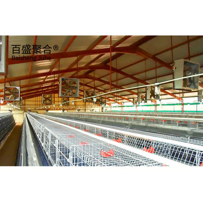 Galwanizowane kurczaki typu A, kurczaki w klatce z certyfikatem ISO9001 2008/CE/BV