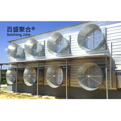 Hot Dip Galvanised C.Z Shape Steel Channel Prefabricated Chicken House for Poultry Farm (Hot Dip Galvanized C.Z. Shape Steel Channel Prefabricated Chicken House for Poultry Farm) - dom z prefabrykowanym kurczakiem
