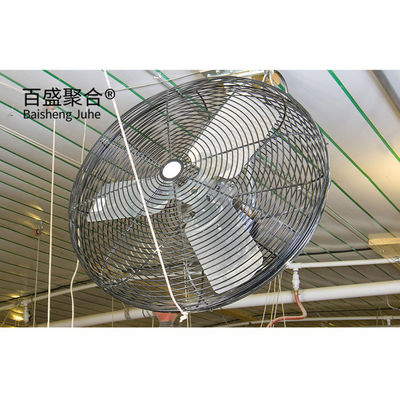 Hot Dip Galvanised C.Z Shape Steel Channel Prefabricated Chicken House for Poultry Farm (Hot Dip Galvanized C.Z. Shape Steel Channel Prefabricated Chicken House for Poultry Farm) - dom z prefabrykowanym kurczakiem