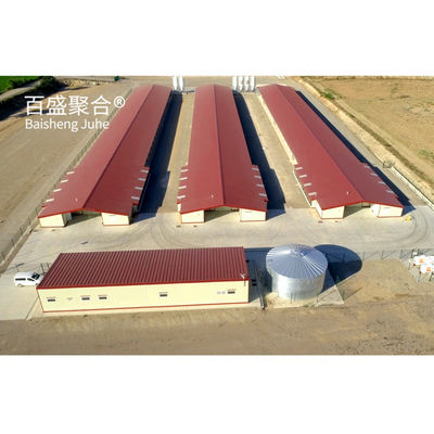 Hot Dip Galvanised C.Z Shape Steel Channel Prefabricated Chicken House for Poultry Farm (Hot Dip Galvanized C.Z. Shape Steel Channel Prefabricated Chicken House for Poultry Farm) - dom z prefabrykowanym kurczakiem