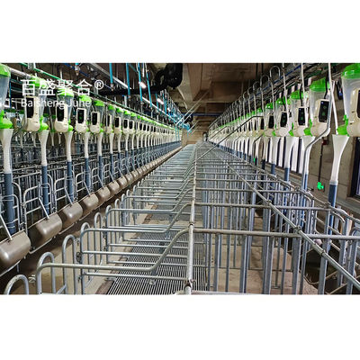 Hot Dip Galvanised/Paint Spraying Steel Structures for Pig Farm Warehouse Ramka domu