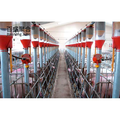 Hot Dip Galvanised/Paint Spraying Steel Structures for Pig Farm Warehouse Ramka domu