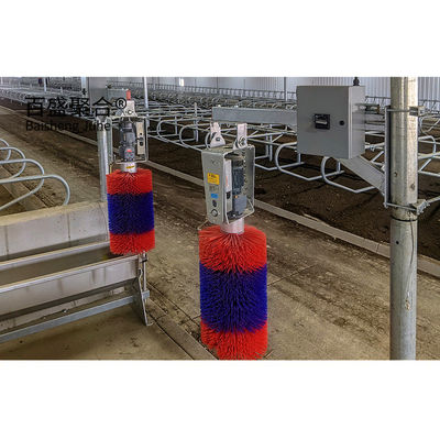 Standardowy budynek prefabrykowany dla bydła ASTM ISO9001 2008/CE/BV Certyfikowany