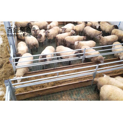 Q235 Low Carbon Steel Heavy Pre Design Sheep/Cow Shed Steel Structure Farm Houses Commercial Chicken Houses Wyroby rolne