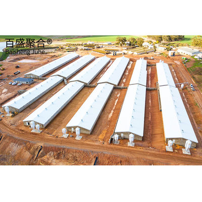 Q235 Low Carbon Steel H Beam Structure for Steel Structure Piggery Hog House Wykorzystanie stali o niskiej zawartości węgla