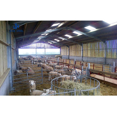 Q235 Low Carbon Steel H Beam Structure for Steel Structure Piggery Hog House Wykorzystanie stali o niskiej zawartości węgla