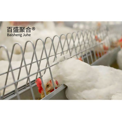 ISO9001 2008/CE/BV Certified Steel Farming House for Livestock Farming and Poultry (Zacertyfikowany budynek stalowy dla hodowli zwierząt gospodarskich i drobiu)
