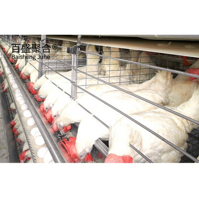 ISO9001 2008/CE/BV Certified Steel Farming House for Livestock Farming and Poultry (Zacertyfikowany budynek stalowy dla hodowli zwierząt gospodarskich i drobiu)