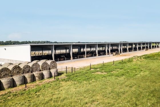 Wyroby stalowe i hodowla zwierząt domowych Budownictwo 80kg Okrągły baler słomy z usługą cięcia