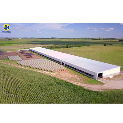 Tolerancja ± 1% Customized Light Steel Structure Farm Shed Storage Warehouse Budowla