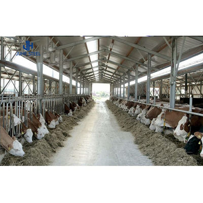 Stalowe metalowe stodoły krowy świnie domy prefabrykowane domy drobiowe konstrukcja drzwi rolkowe